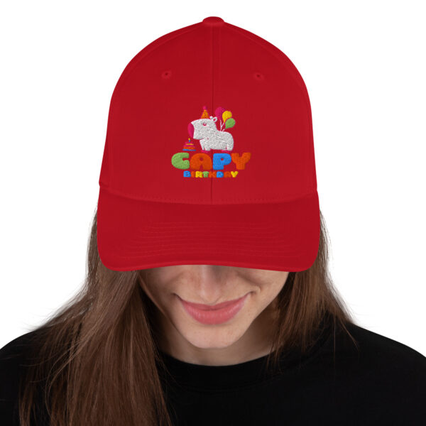 Structured Twill Cap - Imagen 5