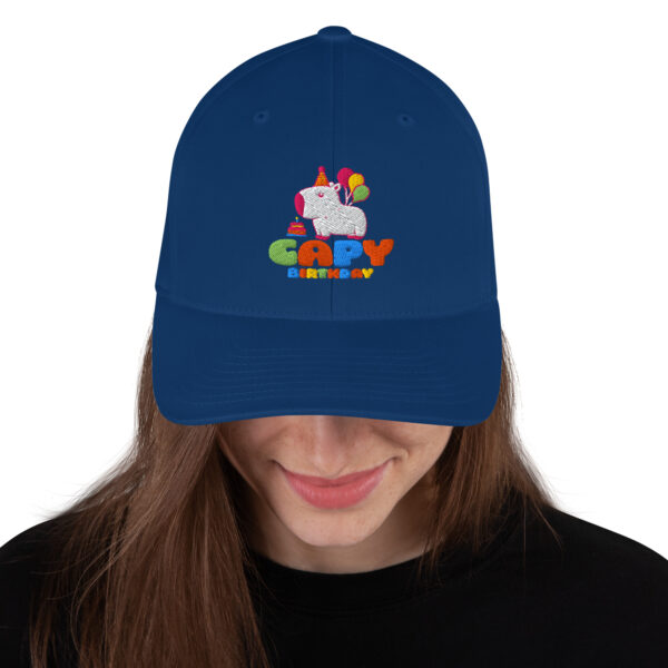 Structured Twill Cap - Imagen 4